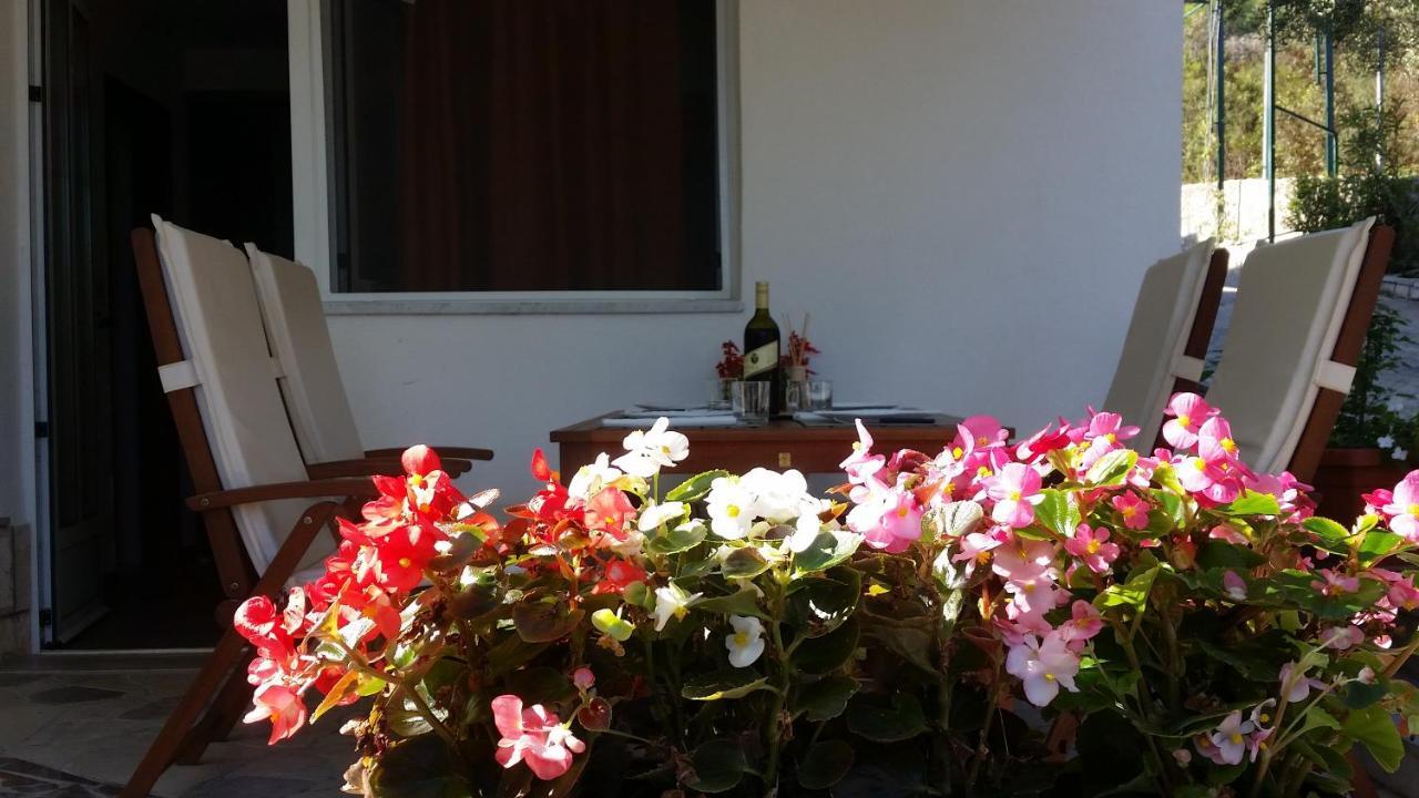 Apartments Zovko Drače Zewnętrze zdjęcie